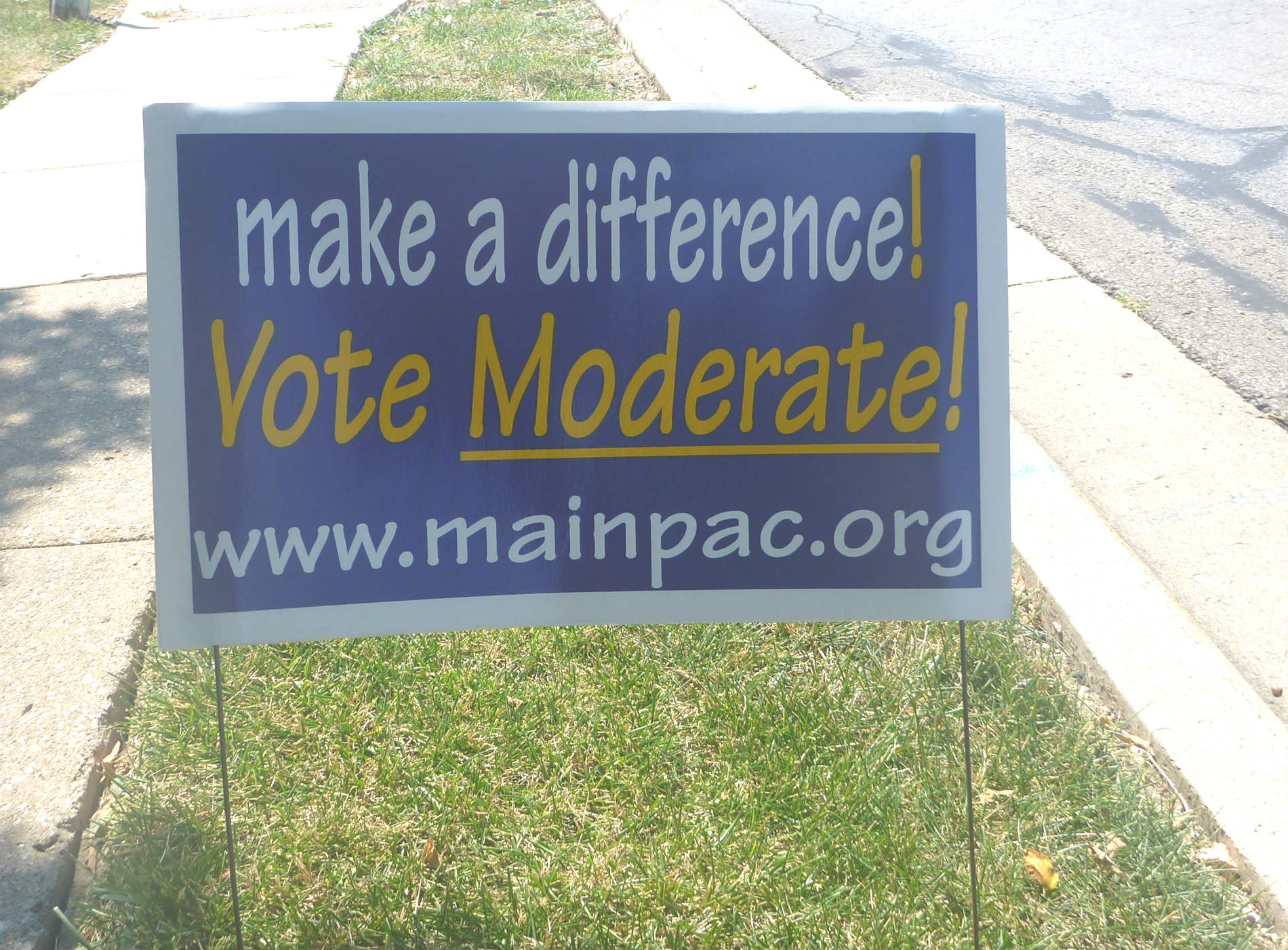 Vote moderate placard