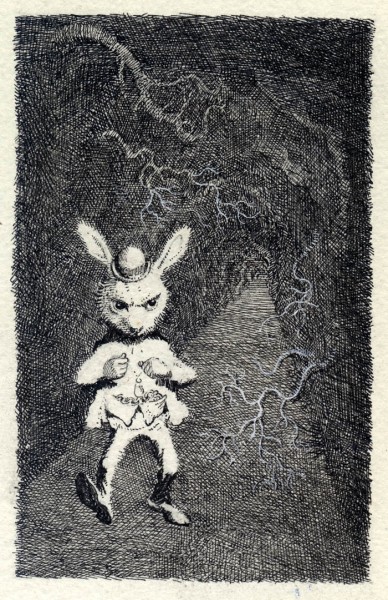 The White Rabbit-1