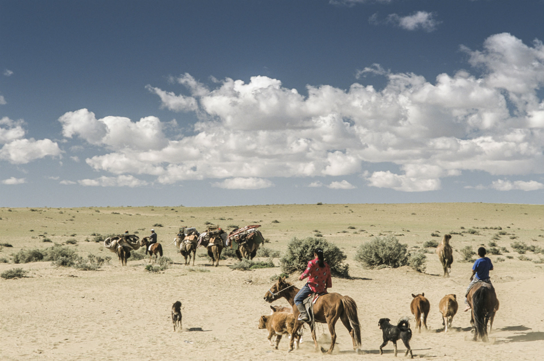 Nomads, Mongolia Photo by Sven Zellner